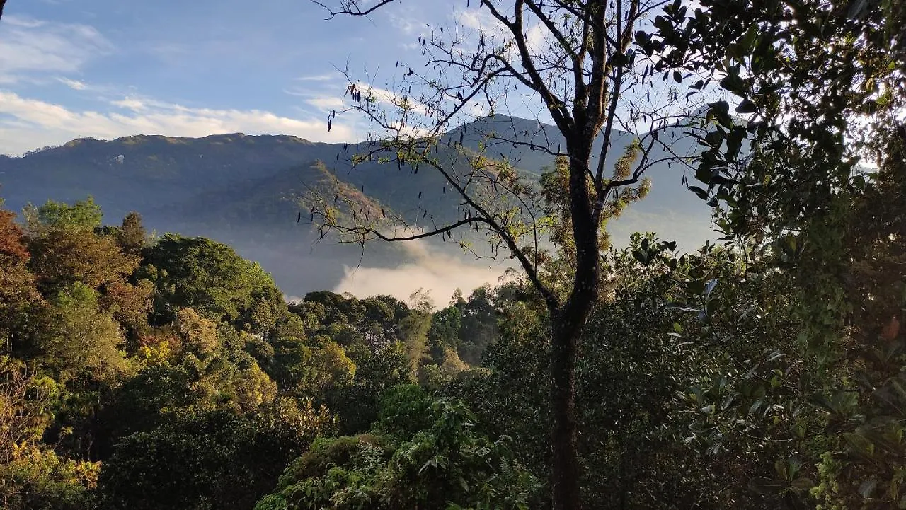 Homestay szállás Green Tea View Munnar