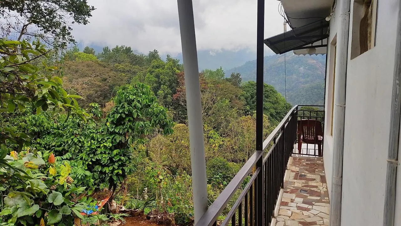 Green Tea View Munnar India